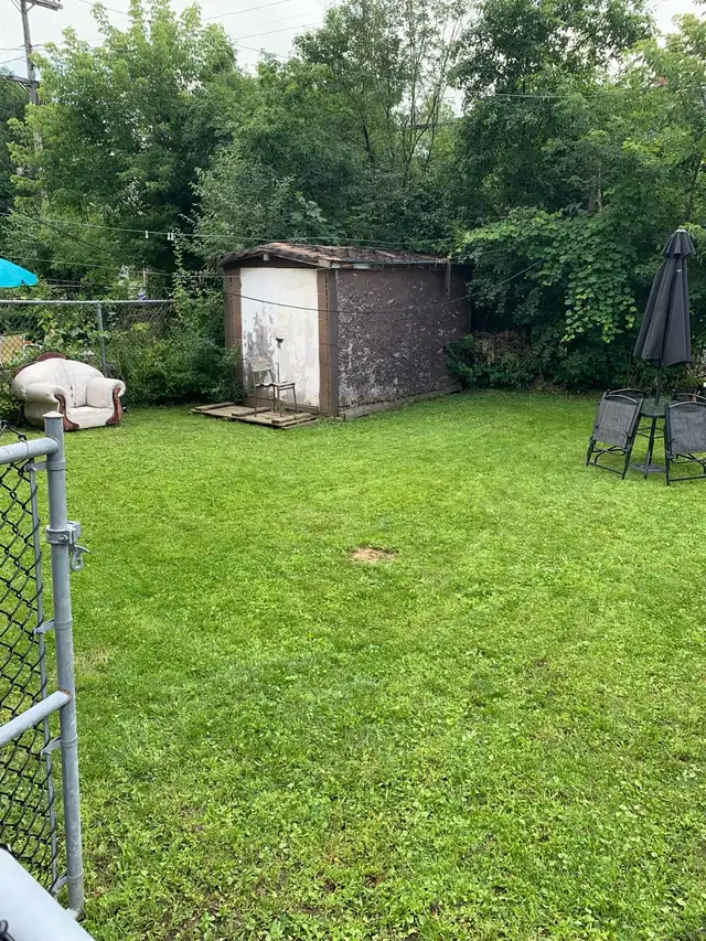 Lawn Mowing and Cleaning - Photo 3