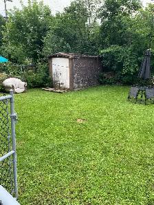 Lawn Mowing and Cleaning - Photo 3