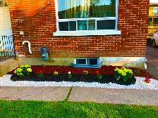 Lawn Mowing and Cleaning - Photo 4