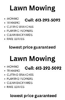Lawn Mowing and Cleaning - Photo 5