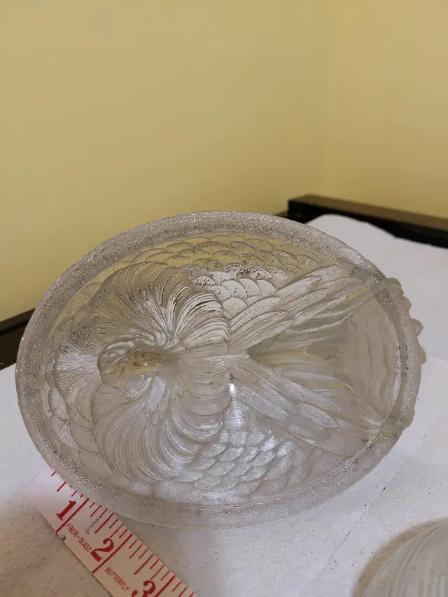 Hen on Nest - Photo 2