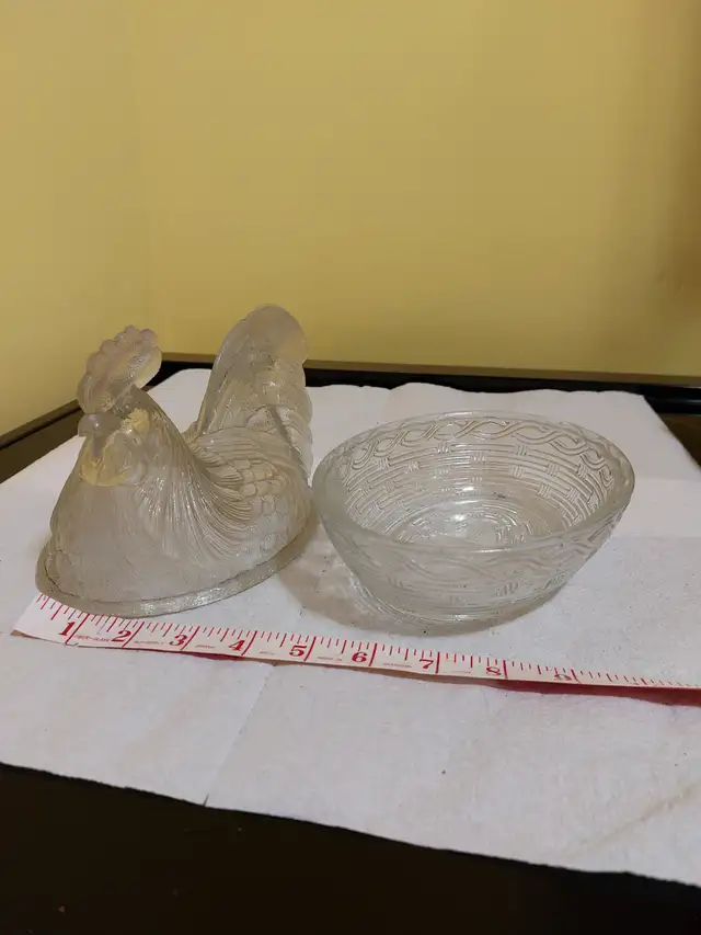 Hen on Nest - Photo 3