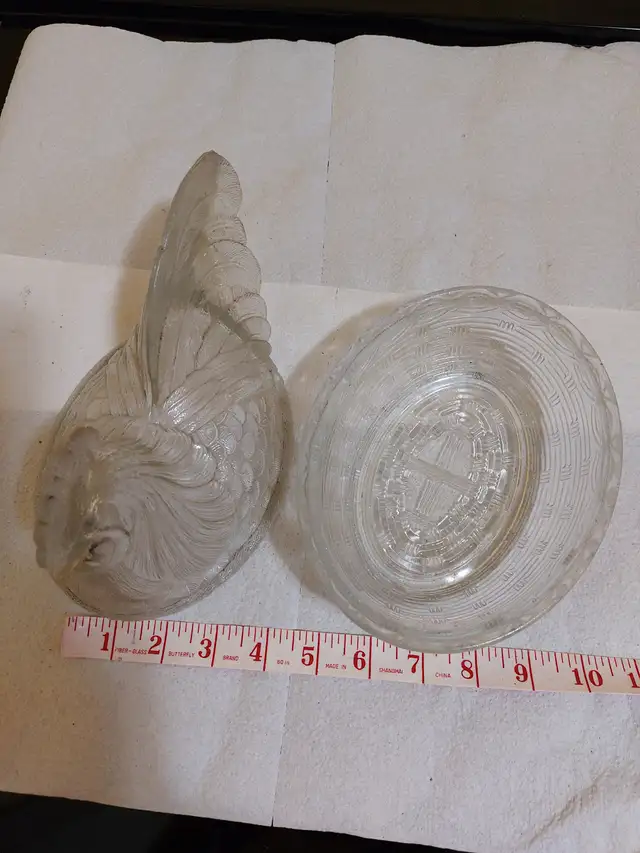 Hen on Nest - Photo 4