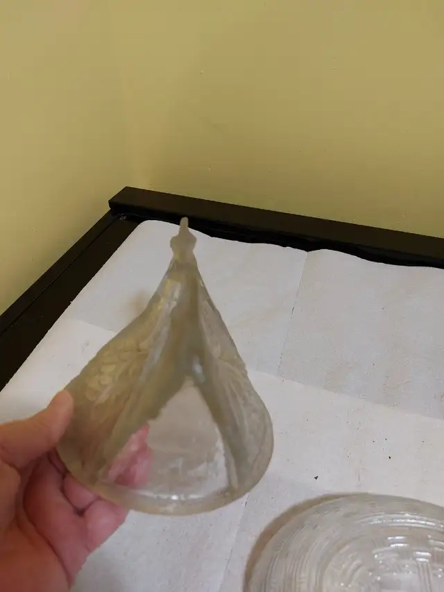 Hen on Nest - Photo 5