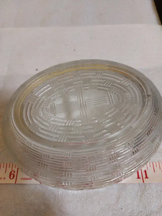 Hen on Nest - Photo 6