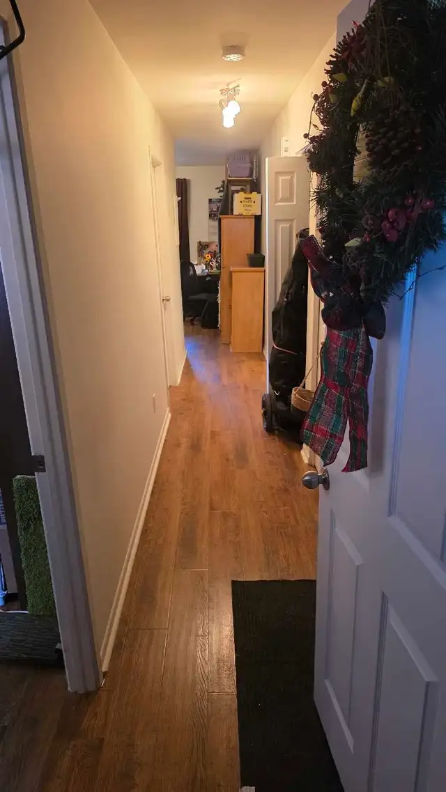 Très beau 4 1/2 ensoleillé,2 pièces fermées, Plateau-Mont-Royal - Photo 2