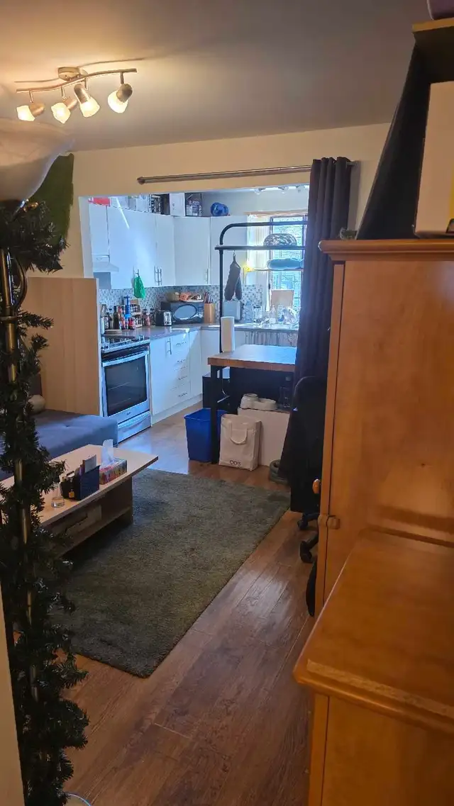 Très beau 4 1/2 ensoleillé,2 pièces fermées, Plateau-Mont-Royal - Photo 8