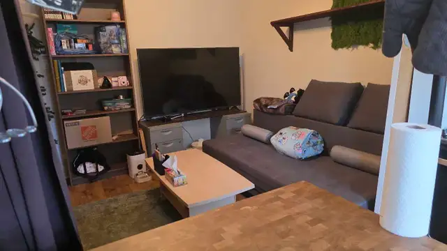 Très beau 4 1/2 ensoleillé,2 pièces fermées, Plateau-Mont-Royal - Photo 10