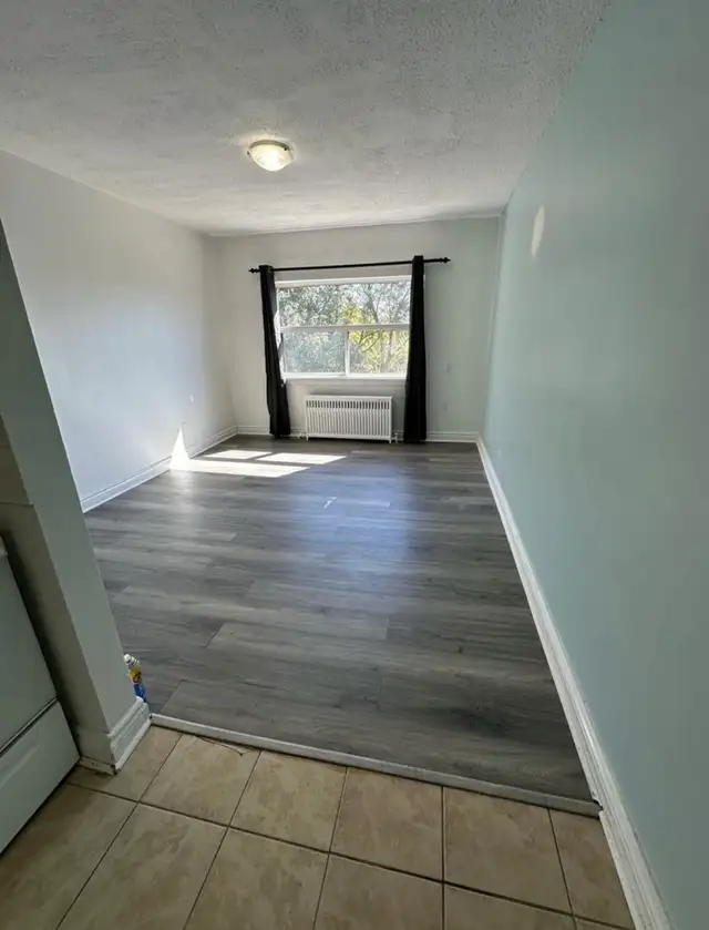 Bachelor - $1495 - 1 MONTH FREE - Photo 2