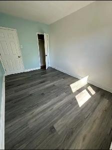 Bachelor - $1495 - 1 MONTH FREE - Photo 3