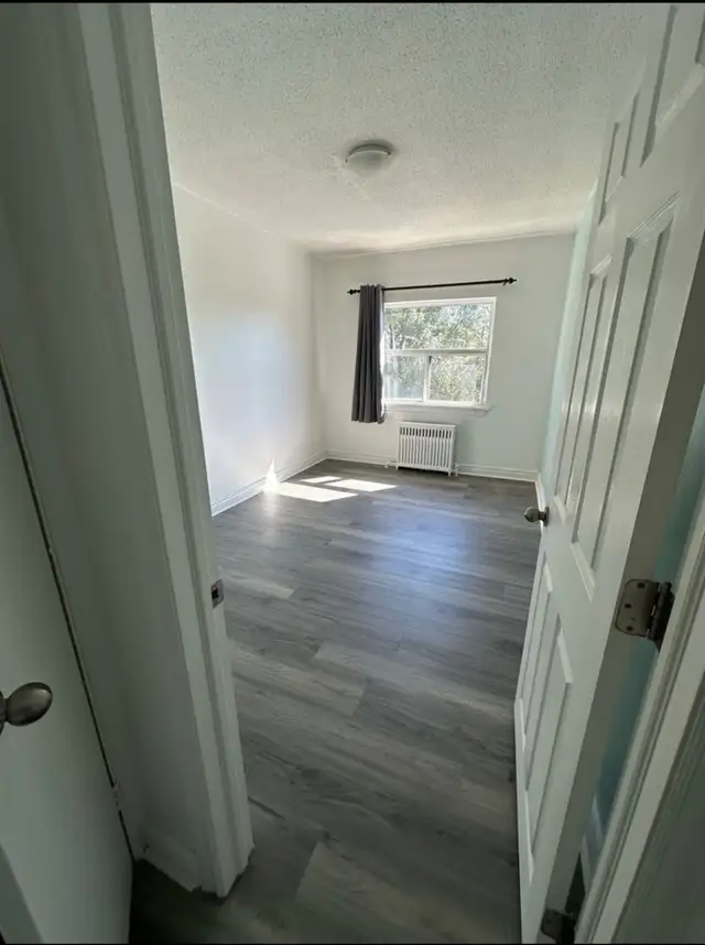 Bachelor - $1495 - 1 MONTH FREE - Photo 4