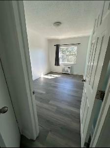 Bachelor - $1495 - 1 MONTH FREE - Photo 4