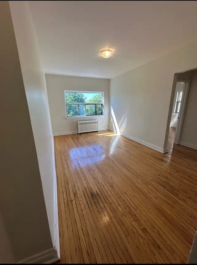 Bachelor - $1495 - 1 MONTH FREE - Photo 16