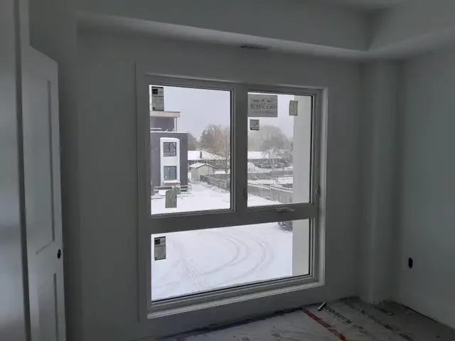 professional painter