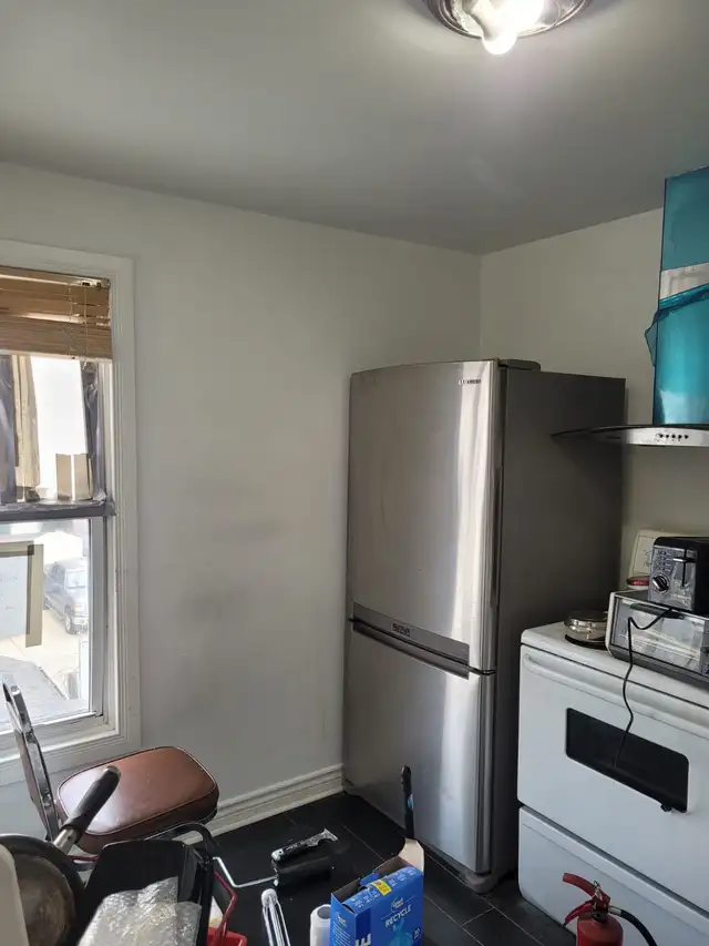 professional painter - Photo 3