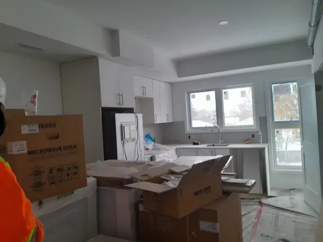 professional painter - Photo 4