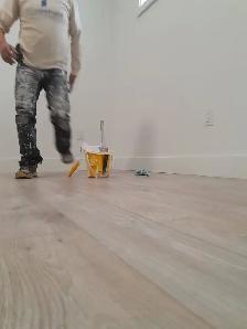 professional painter - Photo 5