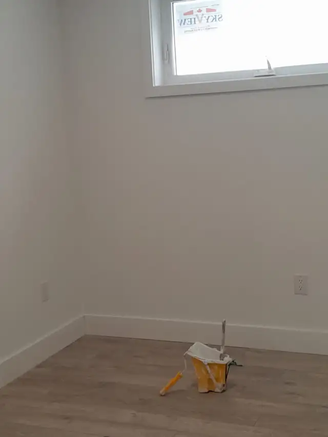 professional painter - Photo 6