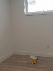 professional painter - Photo 6