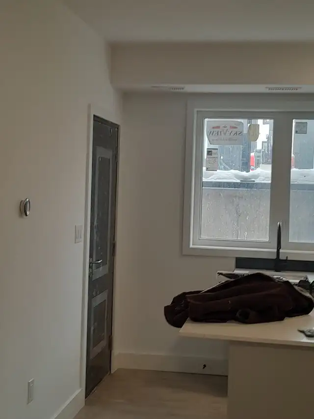 professional painter - Photo 7