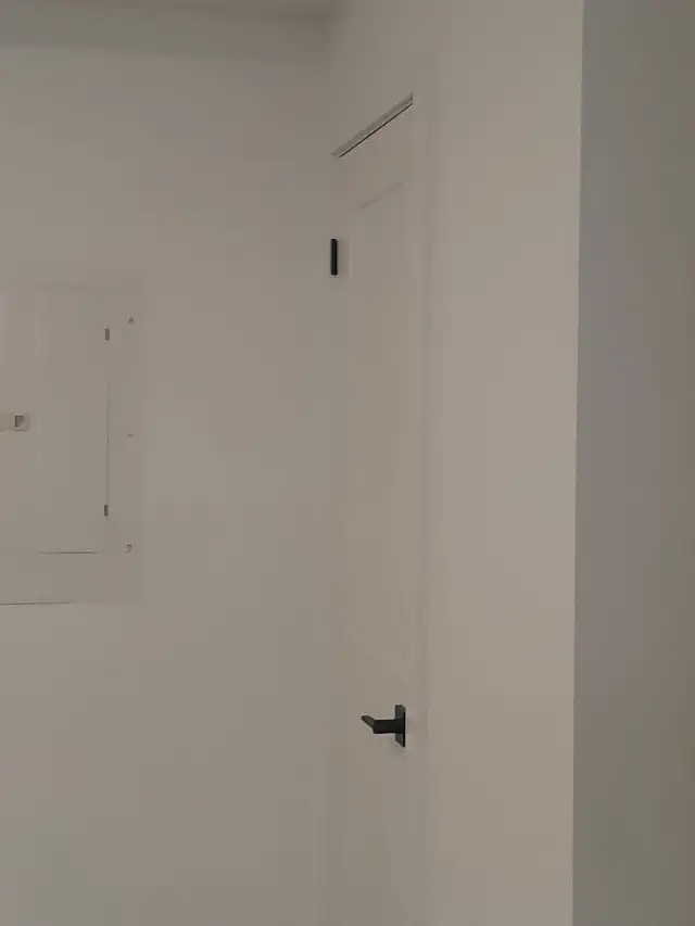 professional painter - Photo 8