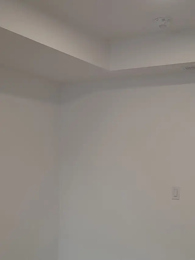 professional painter - Photo 9