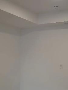 professional painter - Photo 9