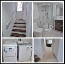 Basement for rent 2 bed 1 bath (Ajax On) - Photo 6