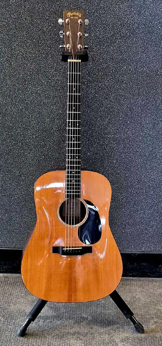 Martin&Co DRSG Guitar (30282423)