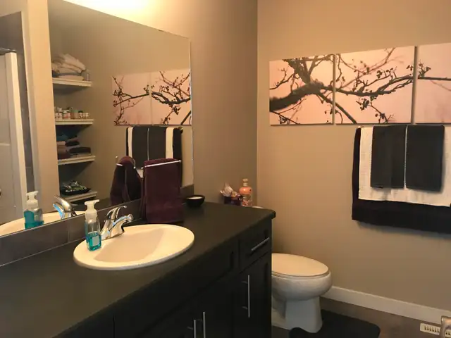 Modern 3-Bedroom Duplex w/ Double Garage in Keswick (Windermere) - Photo 5