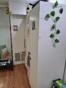 Private Room  For  Girl - Photo 2