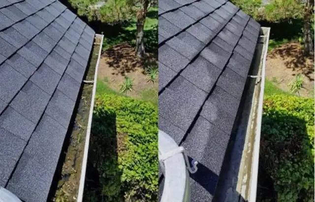 Gutter Cleaning (647) 507-7379 - Photo 3