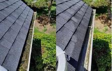 Gutter Cleaning (647) 507-7379 - Photo 3