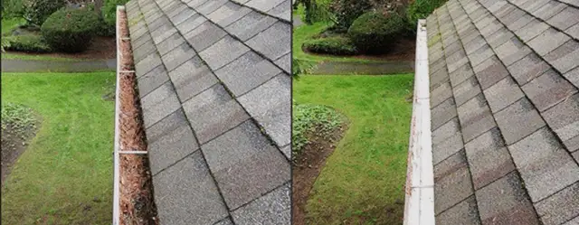 Gutter Cleaning (647) 507-7379 - Photo 5