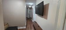 PRIME LOCATION! ✨ FURNISHED 1-BED BASEMENT APARTMENT - Photo 7