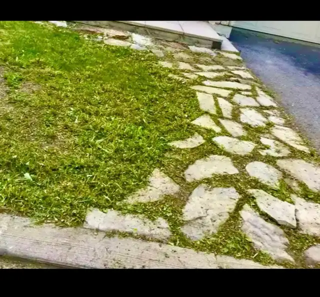 SPRING BACKYARD CLEAN-UP SPECIAL! - Photo 6