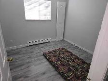 Rome available for Rent