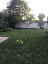 4 ½ St Hubert – $1412 (Juillet) 1358 rue Holmes - Photo 2
