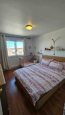 4 ½ St Hubert – $1412 (Juillet) 1358 rue Holmes - Photo 7