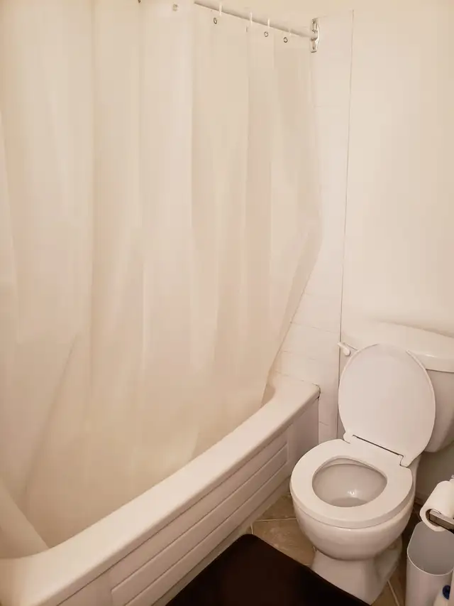 2 bedroom 2 bathroom condo for rent in University Plaza - Photo 3