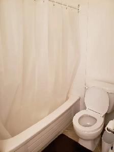 2 bedroom 2 bathroom condo for rent in University Plaza - Photo 3