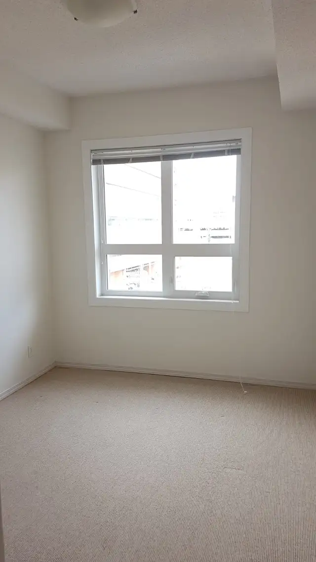 2 bedroom 2 bathroom condo for rent in University Plaza - Photo 6