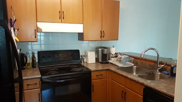 2 bedroom 2 bathroom condo for rent in University Plaza - Photo 7