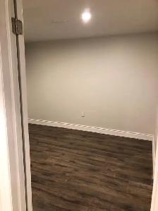One bedroom ,One bath Basement Unit for rent - Photo 4