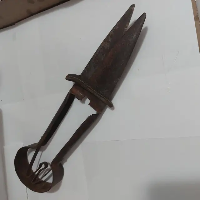 1800's  Sheep Sheers