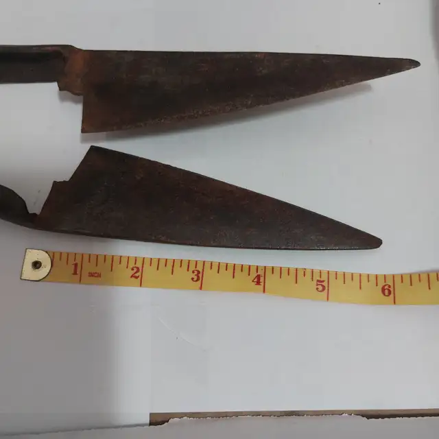 1800's  Sheep Sheers - Photo 2