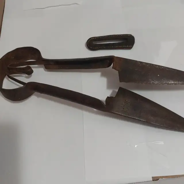 1800's  Sheep Sheers - Photo 4