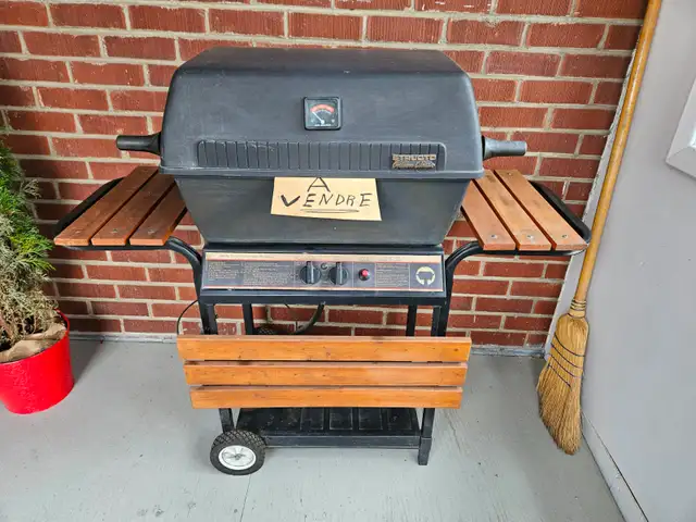 Barbecue au propane 2 brûleurs