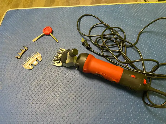 sheep shears