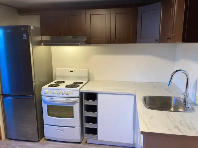 Renovated 1 bedroom in Elmvale Acres - Photo 4